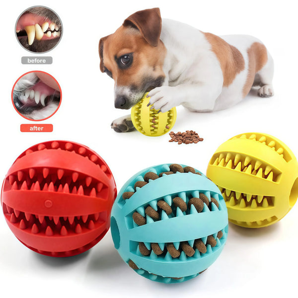 BounceBuddy Durable Chew & Treat Ball
