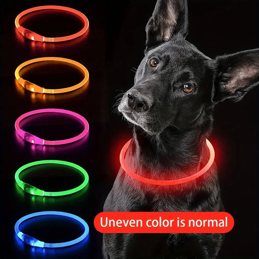 GlowPath USB LED Dog Collar