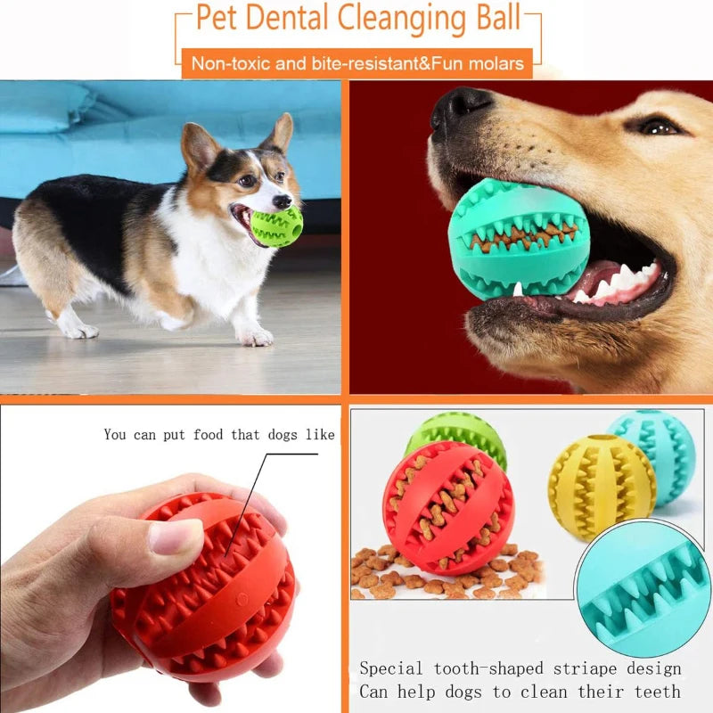 BounceBuddy Durable Chew & Treat Ball
