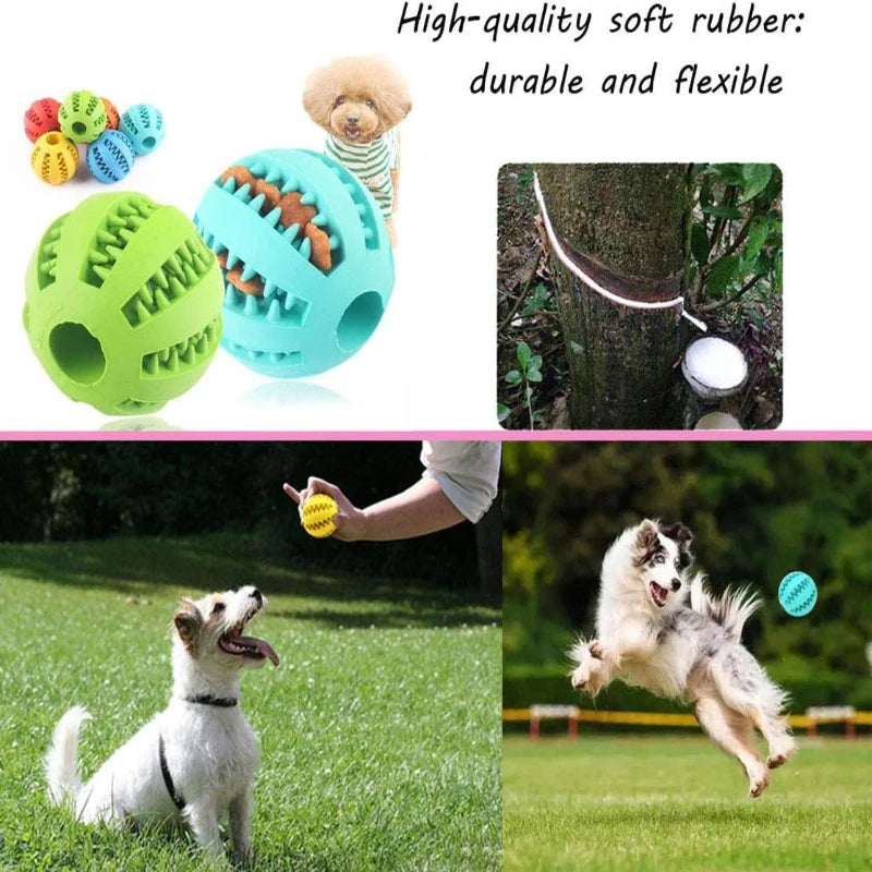 BounceBuddy Durable Chew & Treat Ball
